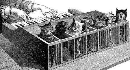 cat_piano