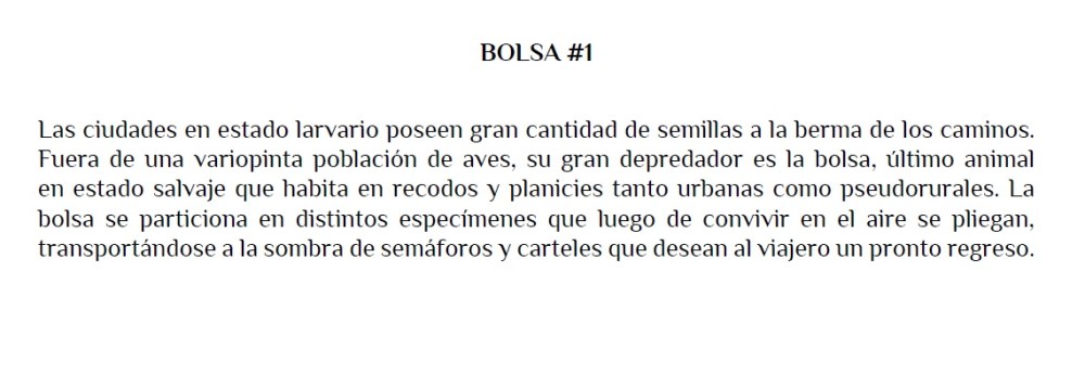 bolsa1